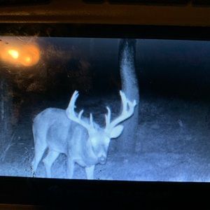 Meet your Posher, Logan